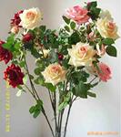 ������Ӧ�ٻ� �ٻ�� �ٻ����滨 ����õ �¼�