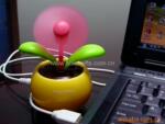 ̫����ҡ�ڻ���/ƻ����/USB����/P208