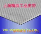 瑞士Habasit工业皮带