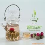 创新美容产品,特色出击,美丽新容颜,青春好色彩