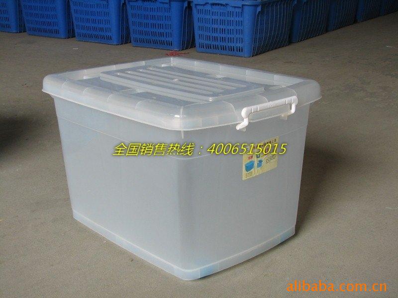 IMG_0918 (800x600)_yujia