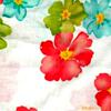 ���꼯�Ź�Ӧ����ӡ��������14X14/50X54 360CM(ͼ)