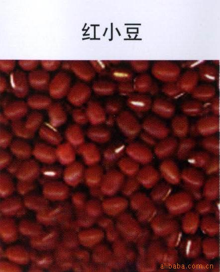 供应大量红小豆
