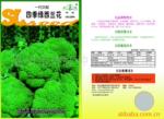 【实力企业证照齐全】日本进口西兰花良种四季绿西兰花