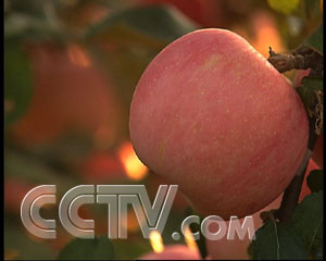 ����˼·��ˮ�� ��׬1000�� ˮ�� ũҵ�¸��� CCTV7�¸��� ũҵ 