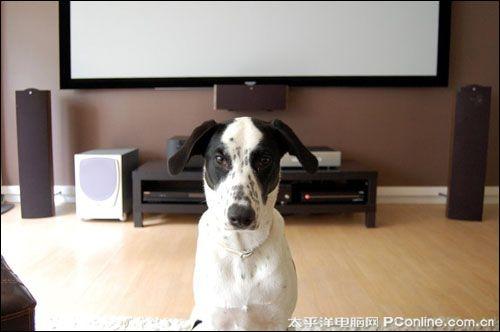 AV��Hi-Fi�汸 1080p����ӰԺ�������� ��ͥӰԺ ���� ���Ż� �ȷ� 