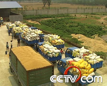 �չ�С��  ��׬ǧ���� ũҵ�¸��� С�� CCTV7�¸��� ũҵ 