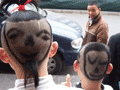 ��ţ�Ƶ����͹���