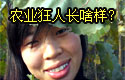 ũҵ����--Ư������MM
