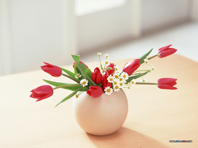 Ů�Ծ����˵�10��Ƹ�Ʒλ����ͼ�� ��ҵ�� ְ������ �Ƹ� ����ʮ�� 