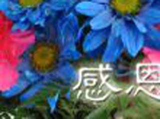 职场人必看的七日忠告 职场攻略 员工攻略 管理 以商会友 