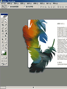 Photoshop CS2��Ƶ�̳�
