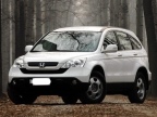 ��ʵ�ʳ���������SUV����һ��