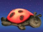 Lovely tortoise lights