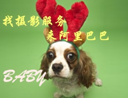 http://search.china.alibaba.com/selloffer/%E6%B4%BB/c1036542.html?show_style=img&sm=true