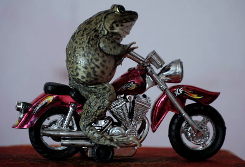 新疆首家电脑 打印机 复印机维修网