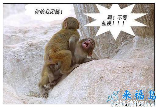 她是这样被侮辱的,光天化日之下.- - 阿里巴巴商人论坛