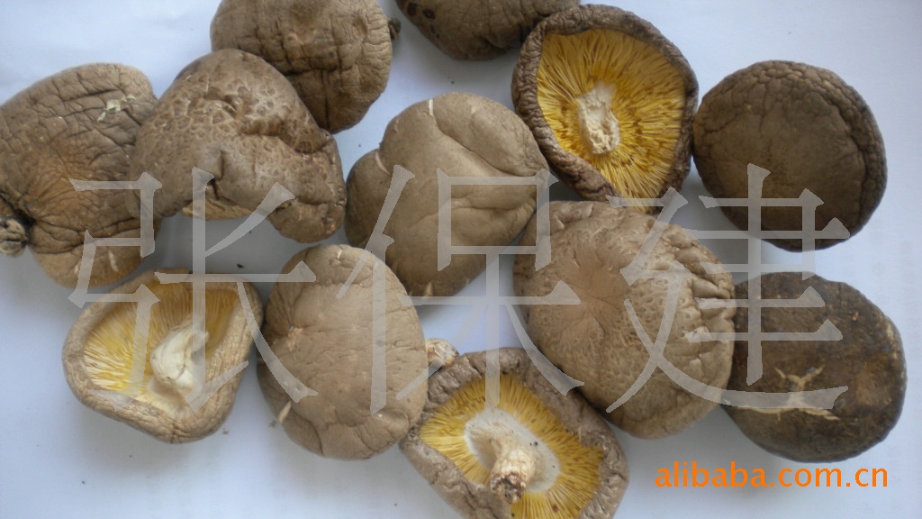 供湖北椴木香菇 椴木光面菇 出口级光面菇 野生香菇