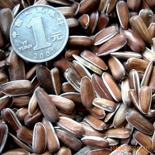 云南生红 葵花籽