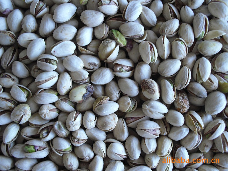 新疆极品纯野生开心果~野生更营养