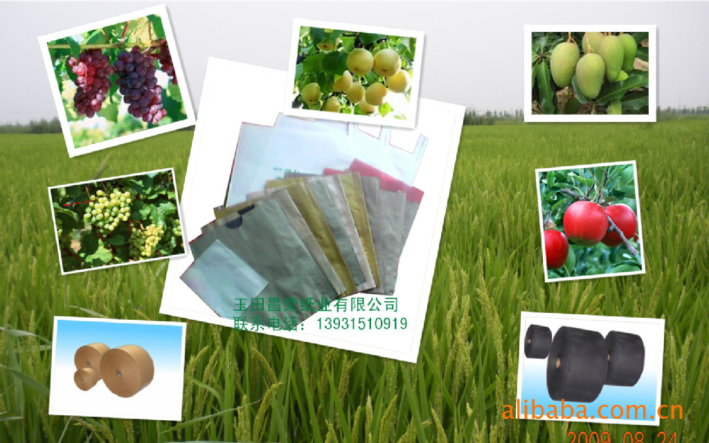 【疏水型好 防病虫害 水果套袋纸 (果袋纸) 供应】价格,厂家,图片,纸