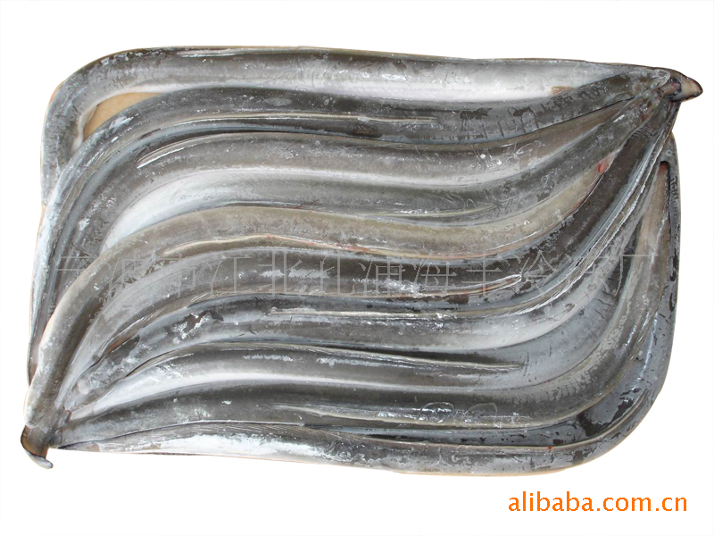 【厂家直销】冷冻鳗鱼 欢迎来电洽谈