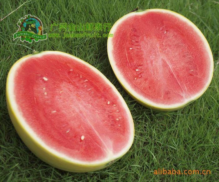 供应【超甜/皮薄/耐运】先正达小型无籽西瓜-金蜜童