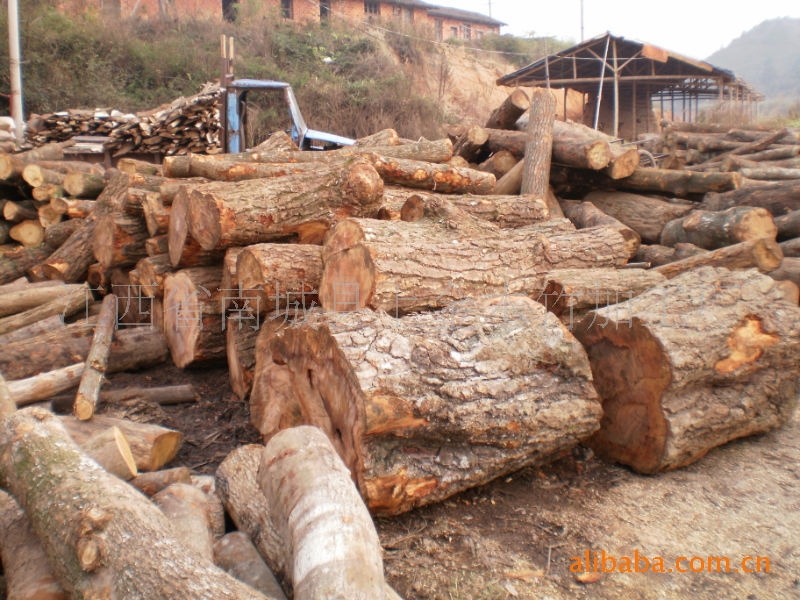 供应荷木板材自然宽规格材料