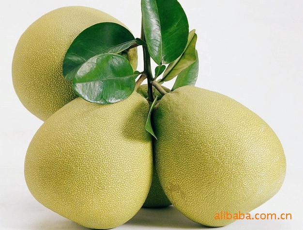 【2013年全新上市】出口欧盟蜜柚(诚信果业供应)