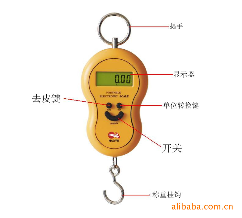 称的名称和图片,螺类大全名称图片,各种形状的图片及名称_大山谷图库