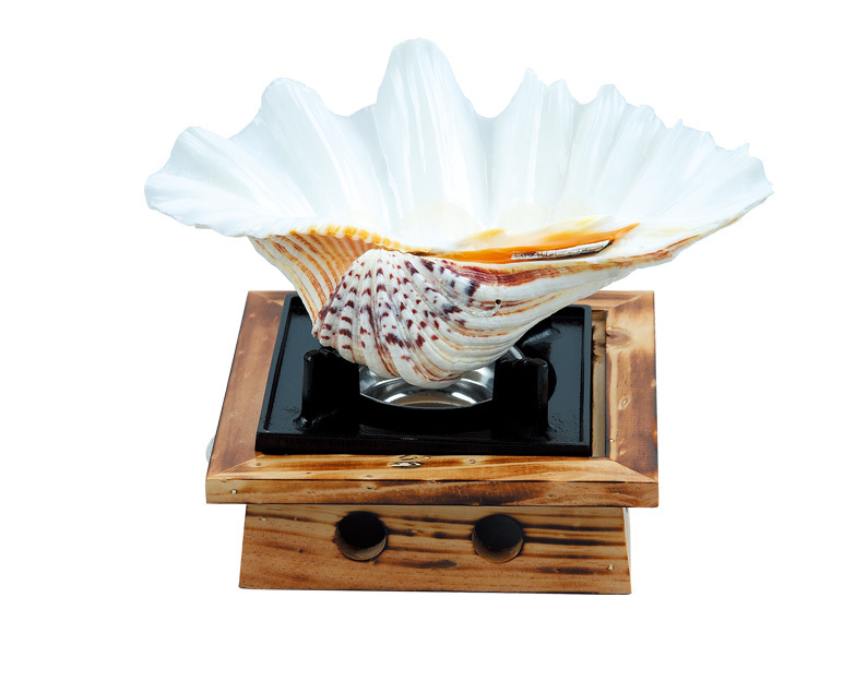 厂家直销—车菊贝 很热卖哦 真实贝壳