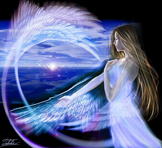 折了翅膀的天使