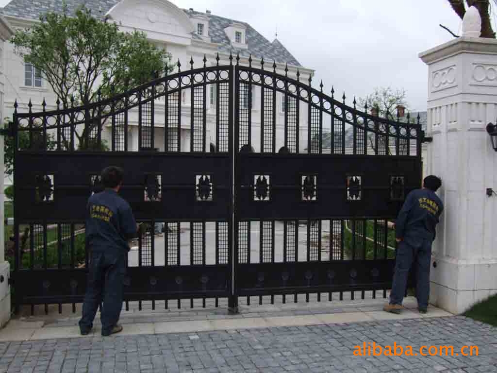 供应别墅庭院铁艺大门艺术铁艺铁门(澳洲铁艺装饰公司精品)