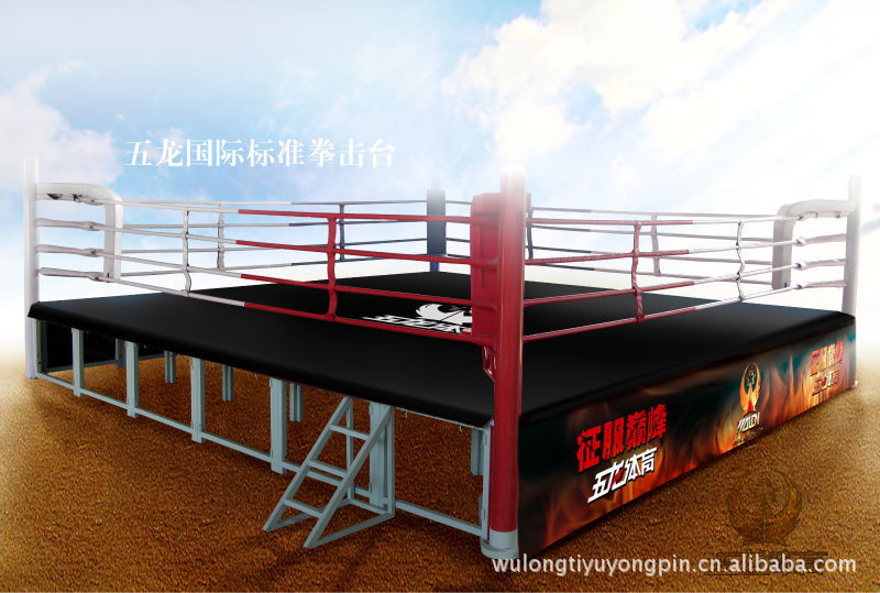 w891 五龙牌国际标准拳台