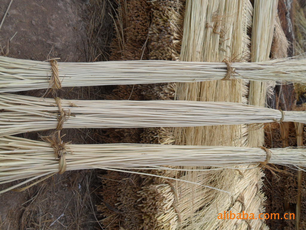 各种工艺品原料 柳条 杞柳 白条图片_8