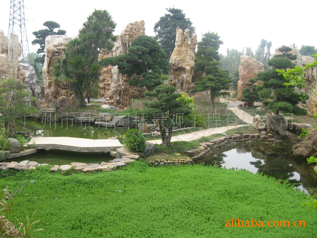 彩臘石圍池邊 羅漢松搭配 假山綠水魚兒暢遊圖片_1