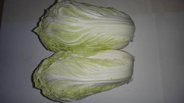 【供应优质胶州大白菜 提供商检税票】价格,批发,供应商厂家 - 青岛冠