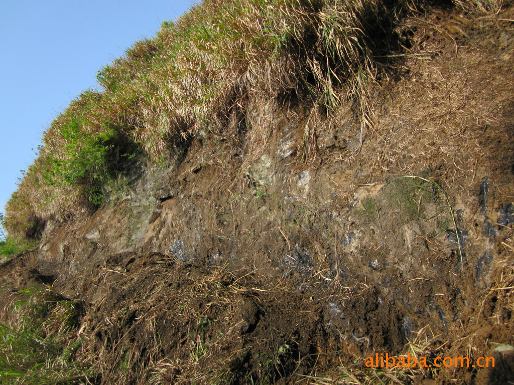 湖北黑白根大理石矿山，寻求三百万资金共同合作开采矿产