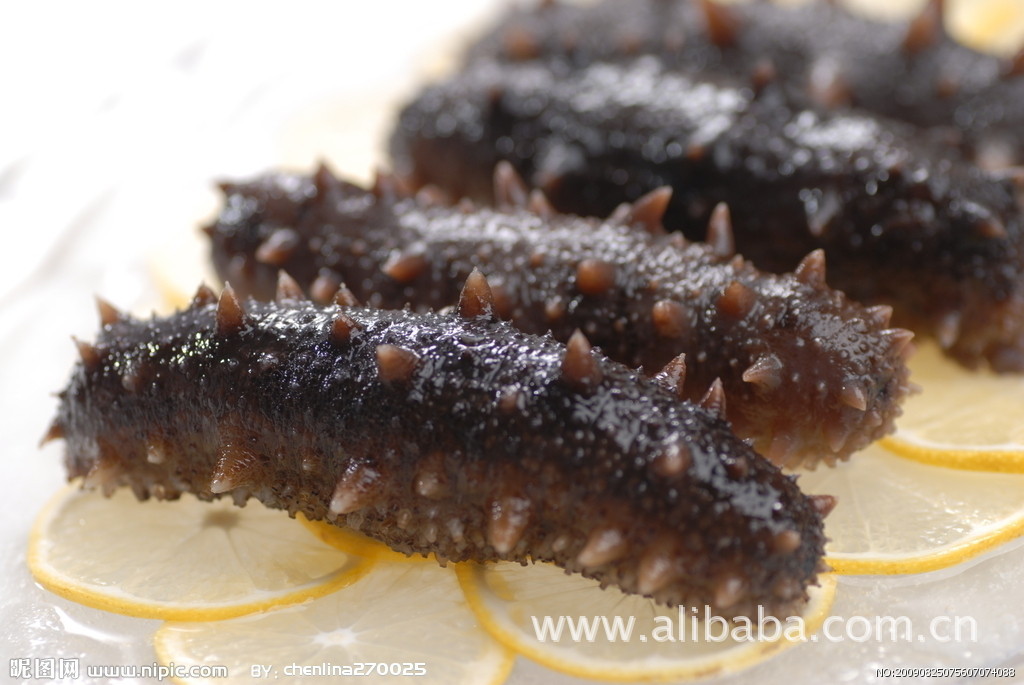 海参批大连海参辽参淡干50-200个/斤1750元