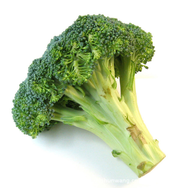 供应大量批发新上市西兰花 欢迎选购(图)