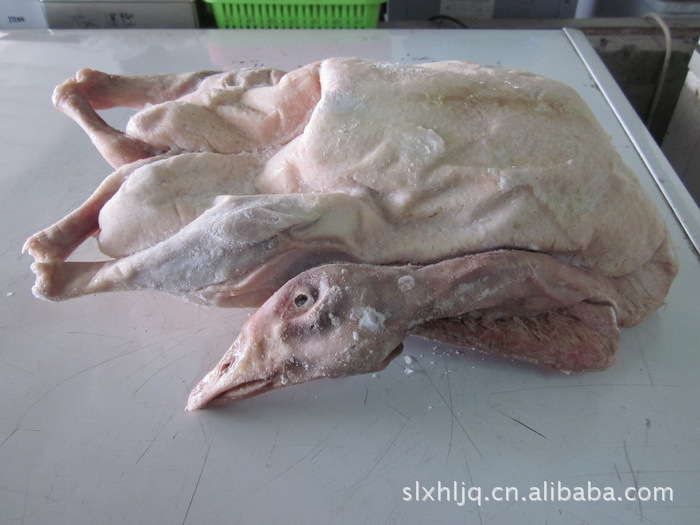 大量供应冷冻肉类/冷冻鲜大雁肉/天然绿色