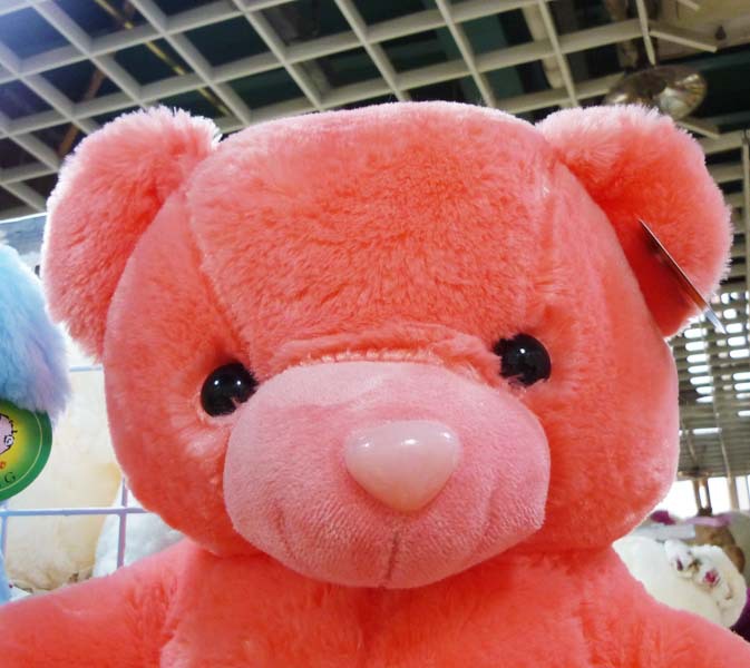 zhw109 七彩熊 70cm 情人节 圣诞节 毛绒玩具 创意礼物