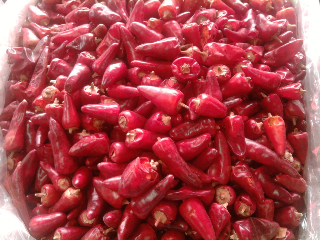 国庆大假哪里好耍哦