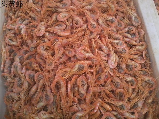 山东鲁北海产基地,凤尾鱼大量上市今年价格比去年还要便宜,最好的3.