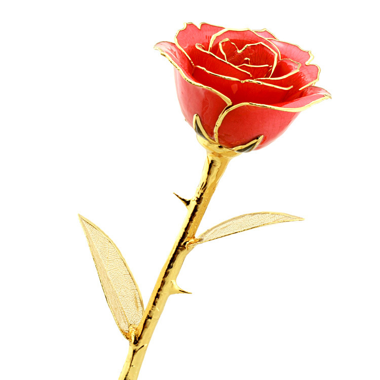 情侣礼品爱人送礼爱之源正品镀24k金玫瑰花镀金天然玫瑰花 红玫瑰图片