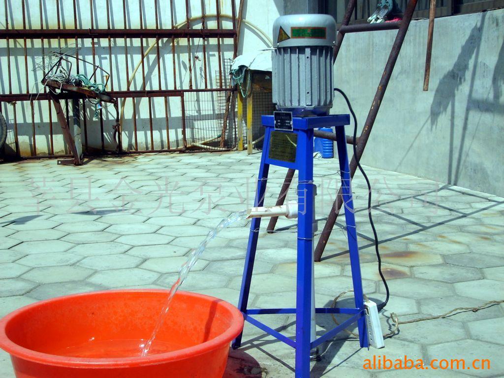 山东专利厂家直销-金光龙霸牌微型深井泵 深井自吸泵 软轴泵