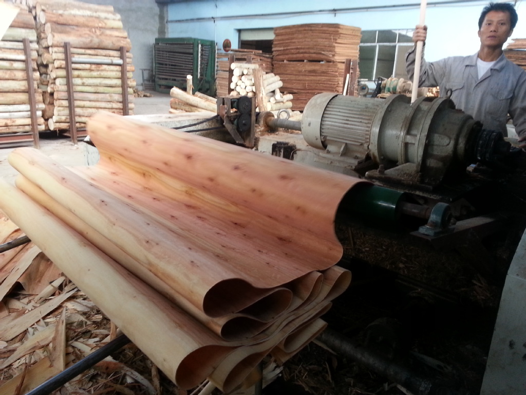 供应二级桉木单板1270*640*1.