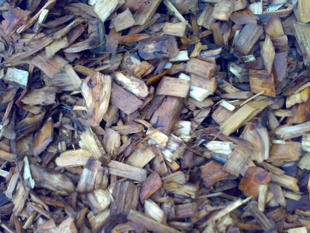 进口木碎,木削