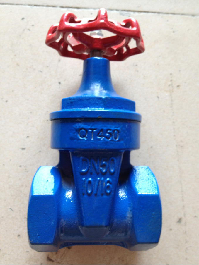 l精品推荐 供应质量保证的竹箦阀门