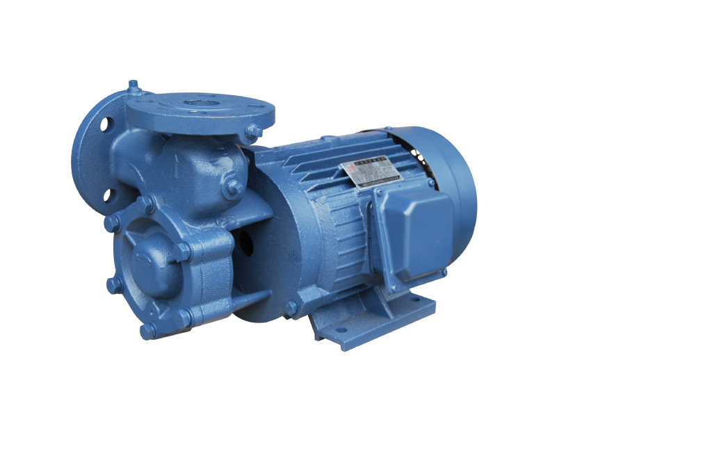 旋涡泵/高压泵/锅炉泵/漩涡泵